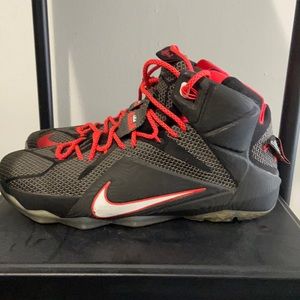 Nike lebrons 12 court vision